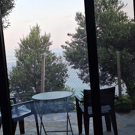 Kulkoce * Lukovë