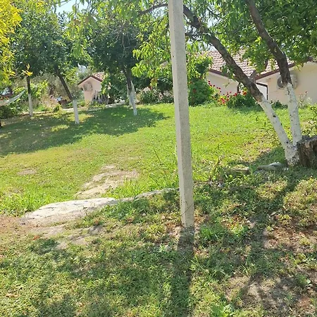 Kulkoce * Lukovë
